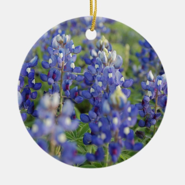 Ornamento De Cerâmica Bluebonnets de Texas (Frente)