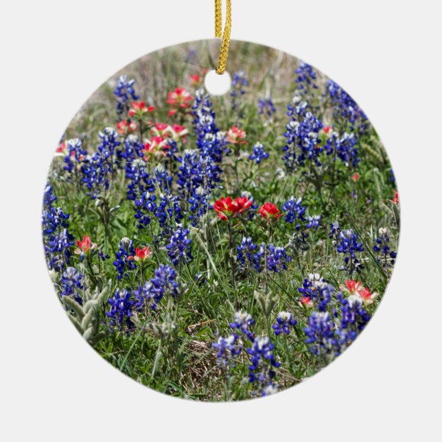 Ornamento De Cerâmica Bluebonnets de Texas & Wildflowers do pincel (Frente)