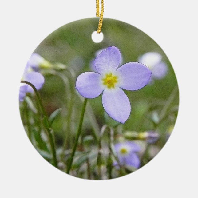 Ornamento De Cerâmica Bluets - senhoras do quacre (Frente)