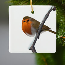 Bob the Red Robin Bird Willife White