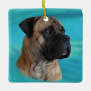 Ornamento De Cerâmica Boerboel - sul - Mastiff africano