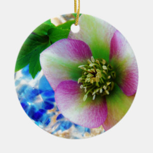 Ornamento De Cerâmica Bola de vidro azul Rosa de Lenten rosa
