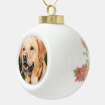 Foto personalizada de cão de estimação