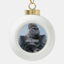 Gorila Silverback Oumbi e Ozala