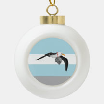 O Rimo do Antigo Mariner Albatross