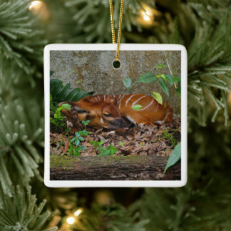 Ornamento De Cerâmica Bongo Antelope Calf Silent Night Mountain