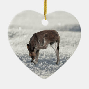 Ornamento De Cerâmica Bonito burro em pé na neve