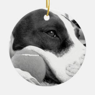 Ornamento De Cerâmica bonito e triste cão pitbull preto branco com bola