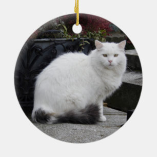 Ornamento De Cerâmica Bonito Gato Branco Em Um Grave