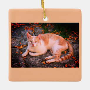 Ornamento De Cerâmica Bonito gato gengibre