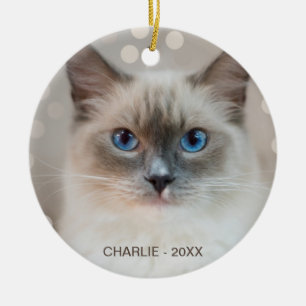 Ornamento De Cerâmica Bonito Ragdoll Cat e nome editável