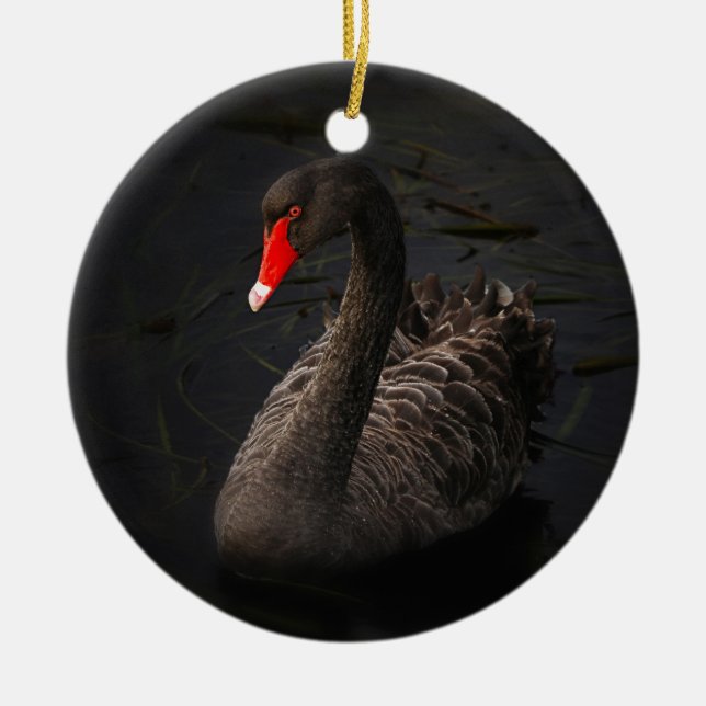 Ornamento De Cerâmica Bonito Swan Negro com Bright Beak Vermelho (Frente)