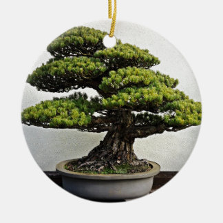 Ornamento De Cerâmica Bonsais de White Pine do japonês