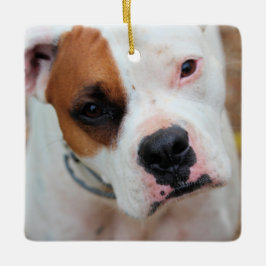 Ornamento De Cerâmica Boop