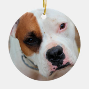 Ornamento De Cerâmica Boop