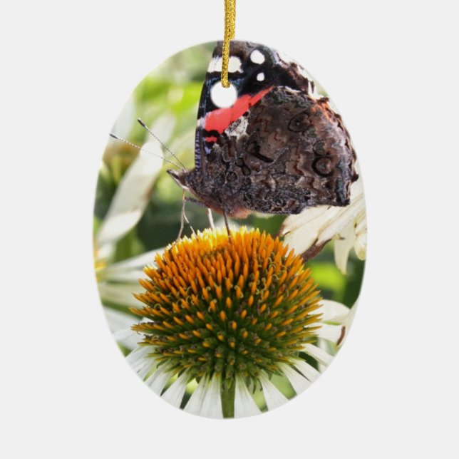 Ornamento De Cerâmica Borboleta Almirante na Flor (Frente)