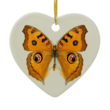 Borboleta Argus do Prado