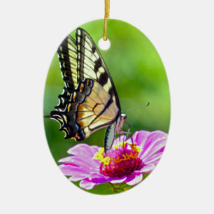 Ornamento De Cerâmica Borboleta de Swallowtail do tigre