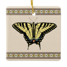 Borboleta-do-sudoeste