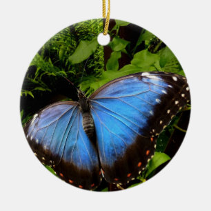 Ornamento De Cerâmica borboleta exótica azul