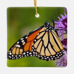 Ornamento De Cerâmica Borboleta Monarca em Liatris