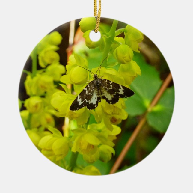 Ornamento De Cerâmica Borboleta Redwood e Flores Silvestres de Uva de Or (Frente)