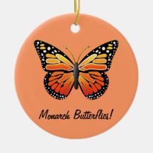 Borboletas de monarca