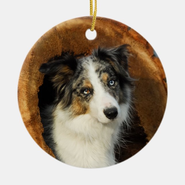 Ornamento De Cerâmica Borda Collie Blue Merle Dog Tranquilidade (Frente)