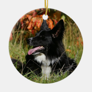 Ornamento De Cerâmica Borda Collie Panting Deitado