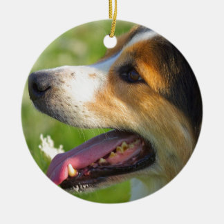 Ornamento De Cerâmica Border collie