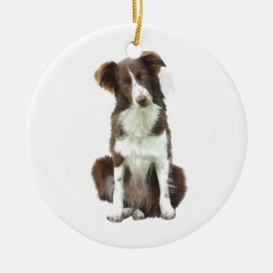Ornamento De Cerâmica Border Collie (B) - castanho e branco