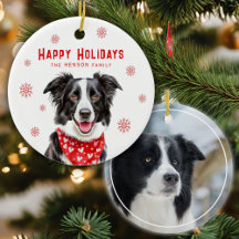 Border Collie Bandana Vermelha de Coração Natal Fo