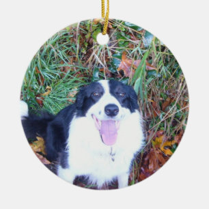 Ornamento De Cerâmica Border collie feliz
