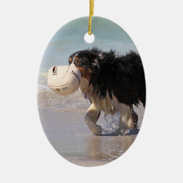 Ornamento De Cerâmica Border collie - futebol qualquer um? (Frente)