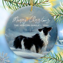 Border Collie na Neve de Inverno Natal
