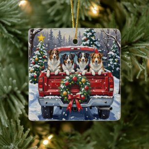 Ornamento De Cerâmica Border Collie Natal Caminhão Vermelho Férias