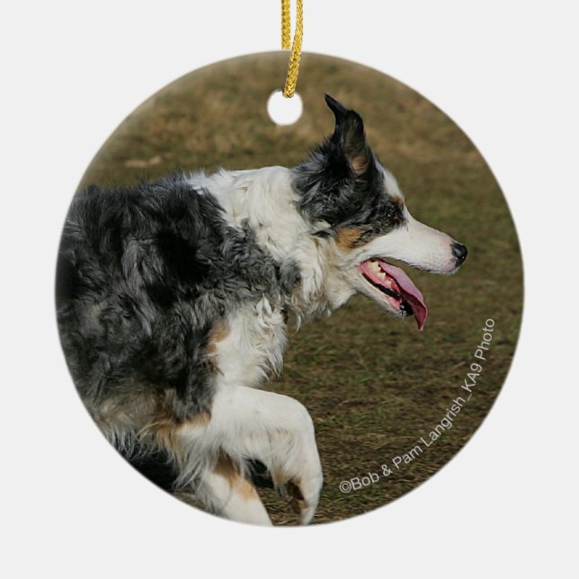 Ornamento De Cerâmica Border collie que funciona 1 (Frente)