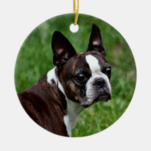 Ornamento De Cerâmica Boston terrier