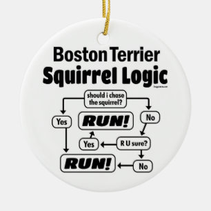 Ornamento De Cerâmica Boston Terrier Squirrel Logic