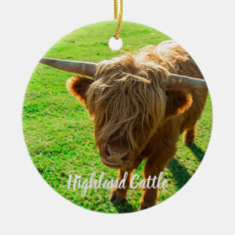 Ornamento De Cerâmica Bovinos de terras altas para animais e amantes da 