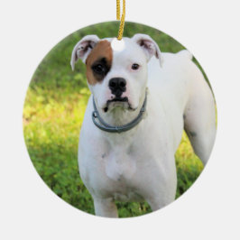 Ornamento De Cerâmica Boxer