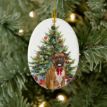 Ornamento De Cerâmica Boxer Arco Vermelho Natal<br><div class="desc">Na frente desta ornamentação de Férias está a imagem de um cão-boxer a vestir um arco vermelho festivo. O cachorro se senta em frente a uma árvore de Natal decorada. No verso, o texto vermelho e verde diz MERRY CHRISTMAS", e há campos de texto adicionais para você personalizar. Faça-o dizer...</div>