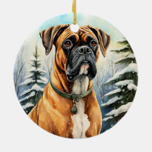 Boxer de inverno bonito