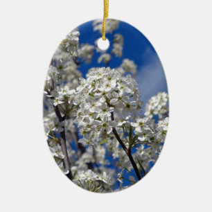 Ornamento De Cerâmica Bradford Pear Blooms
