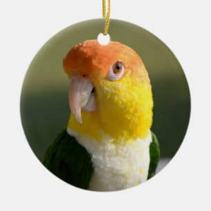 Ornamento De Cerâmica Branco bonito papagaio inchado do Caique