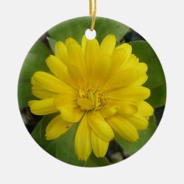 Ornamento De Cerâmica Bright Yellow Marigold Custom Birth (Frente)