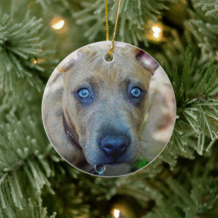 Ornamento De Cerâmica Brindle Pit Bull Puppy por Shirley Taylor