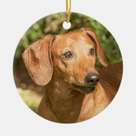 Ornamento De Cerâmica Brown Dachshund Doxie Dog