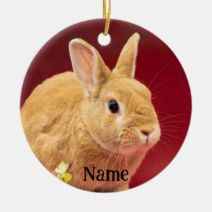 Ornamento De Cerâmica Brown Neitherland Dwarf Bunny Rabbit