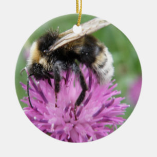 Ornamento De Cerâmica Bumblebee em um Aniversário Personalizado do Astr